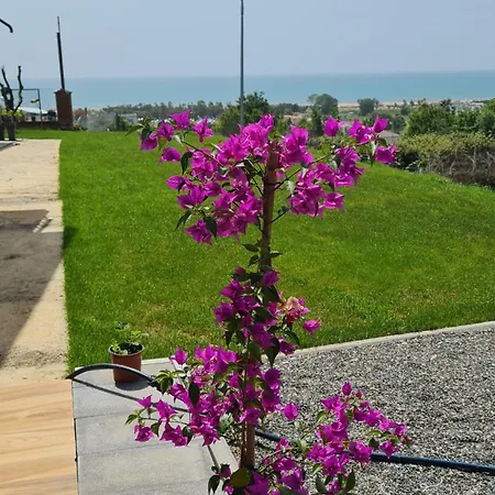 Sol Albania Apartamento *